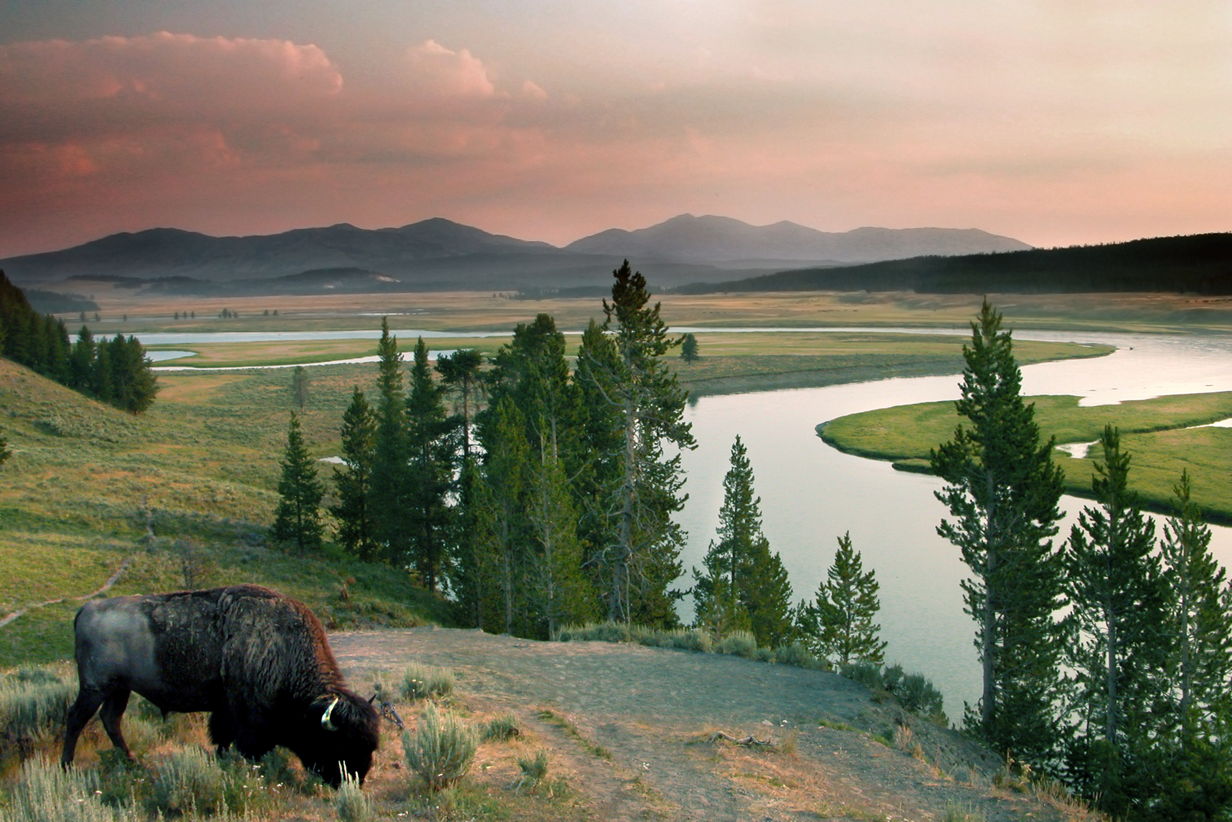 Yellowstone National Park Must See Stops